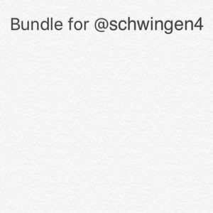Bundle for @schwingen4